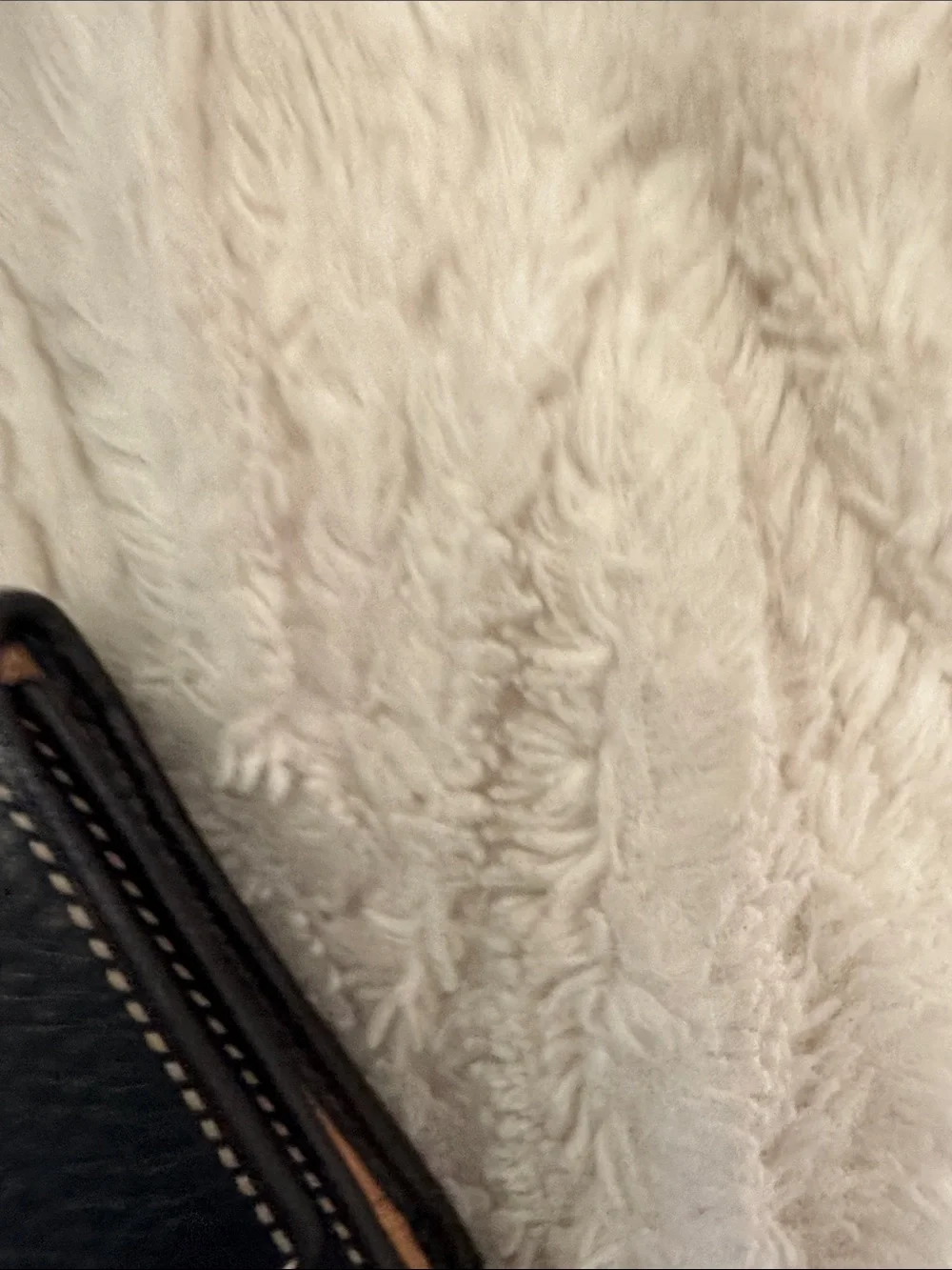 Dooney & Bourke dooney bourke